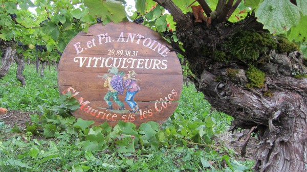 Photo Domaine de la Goulotte vin Meuse