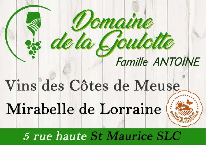 Logo Domaine de la Goulotte vin Meuse